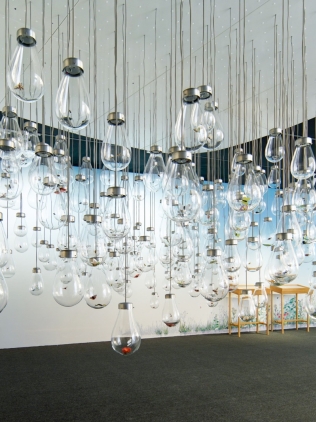 好奇的云-我的葡萄园